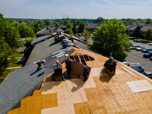 Best Residential Roof Replacement  in Marinette, WI