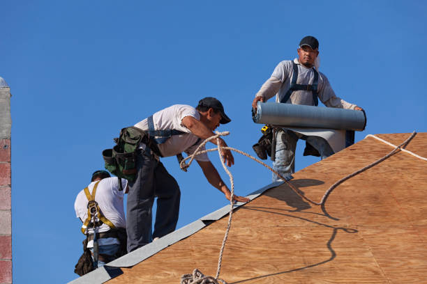 Best Metal Roofing Contractor  in Marinette, WI
